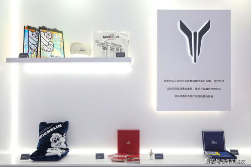 岚图 为你的生活加点儿颜料