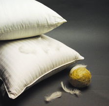 轻柔温暖 safron莱美羽绒寝具精品