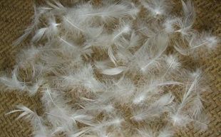 广西贵港市贵康羽绒_世界工厂网全球企业库