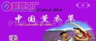 批发熏衣草08-保健寝具的天然填充物(图)_纺织、皮革_世界工厂网中国产品信息库