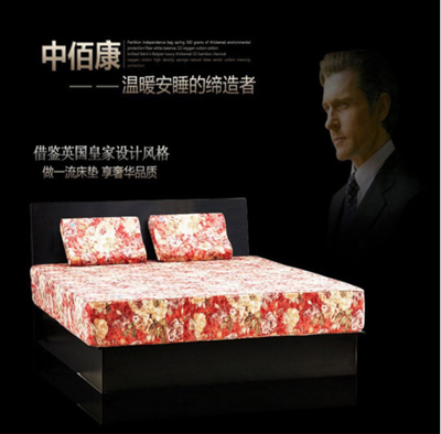 北京中佰康仿董事长鲁林萍生地磁床垫公司:从行业领先到技术先锋 精心制作好床垫