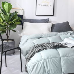 羽绒被 不再奢侈的健康寝具