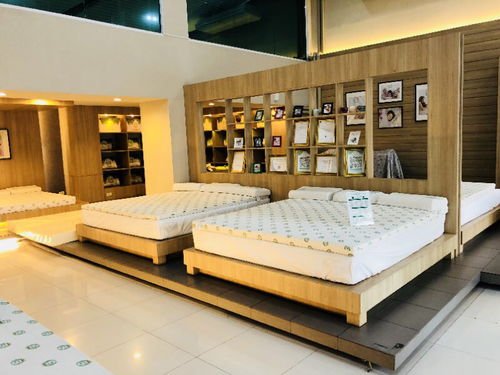 想创业开店,最近一直关注素万乳胶寝具,大家觉得...