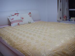 守护健康睡眠 揭秘专业防螨寝具的科技力量